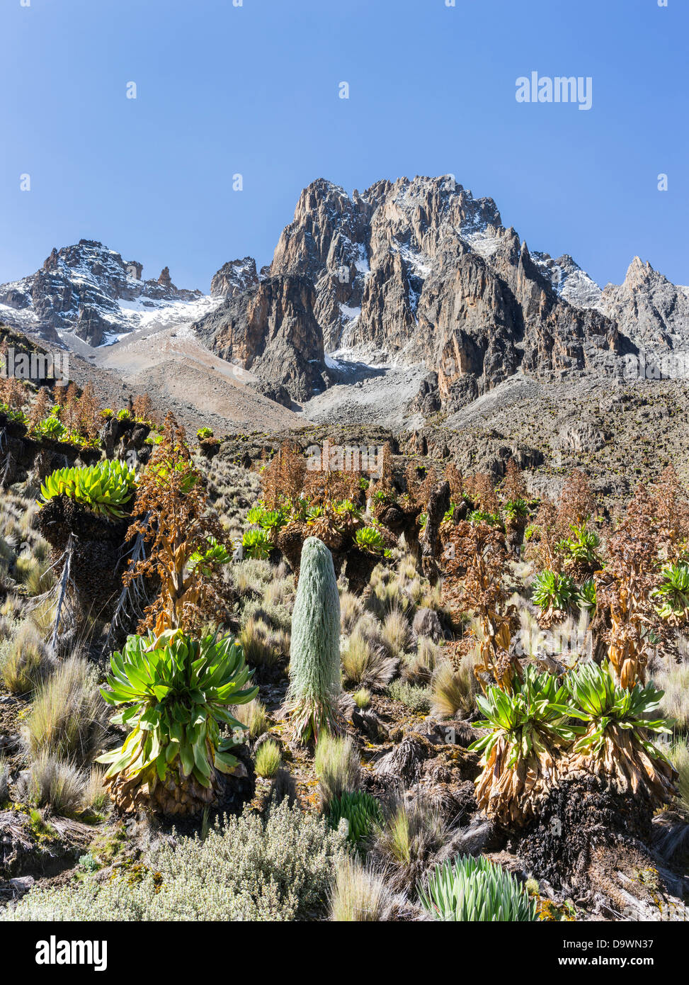 Mount kenya hires stock photography and images Alamy