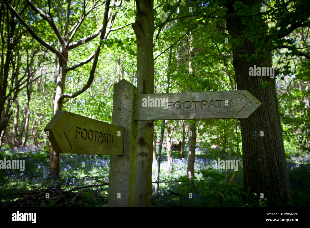 Public Footpath sign in a bluebell wood in dappled light Stock Photo