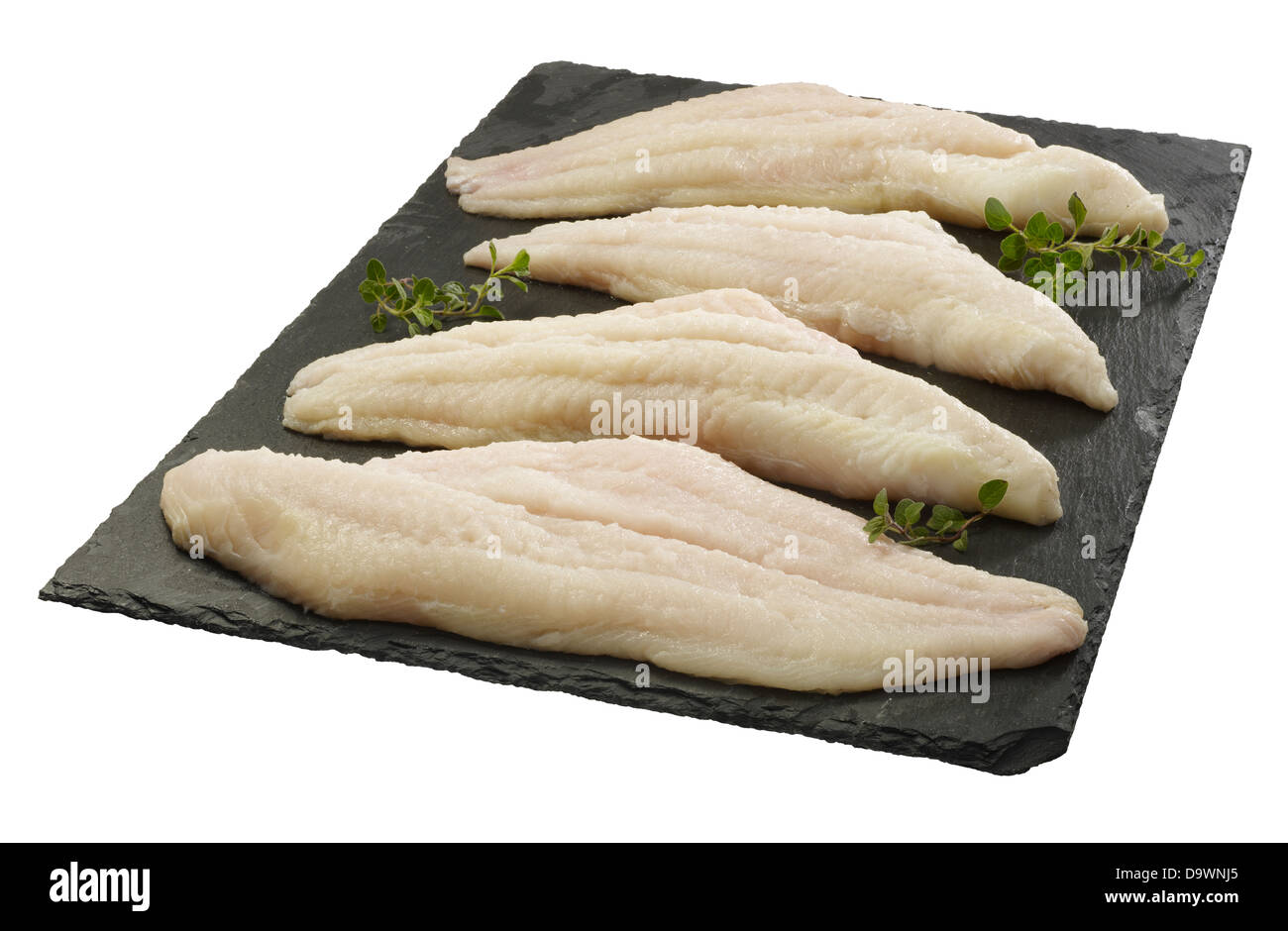 raw catfish fillets Stock Photo