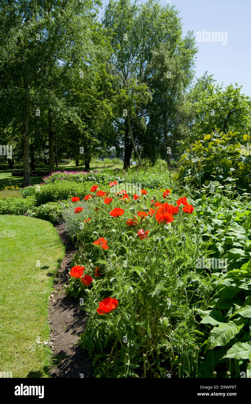 herbaceous border, bute park, cardiff, wales. Stock Photo