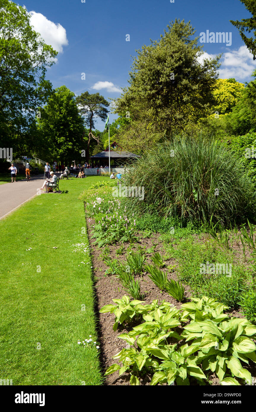 herbaceous border, bute park, cardiff, wales. Stock Photo
