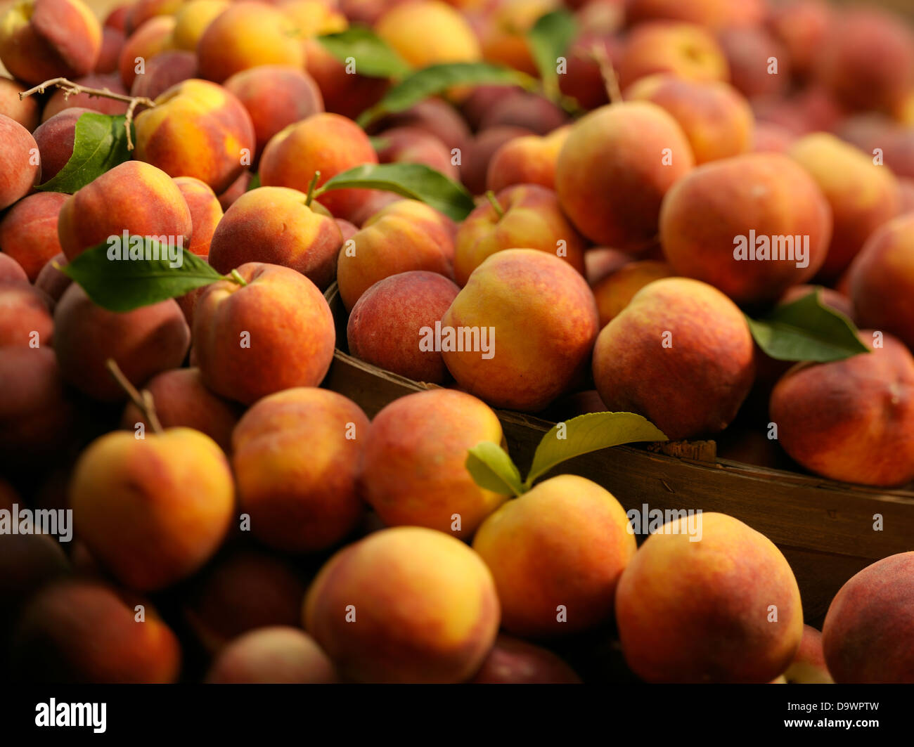 fresh peach stand Stock Photo