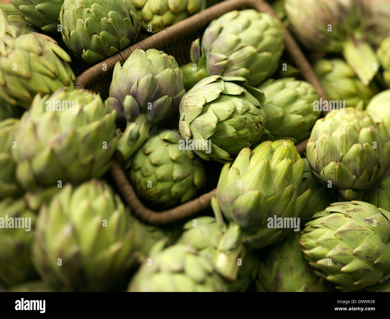 fresh artichoke Stock Photo Alamy