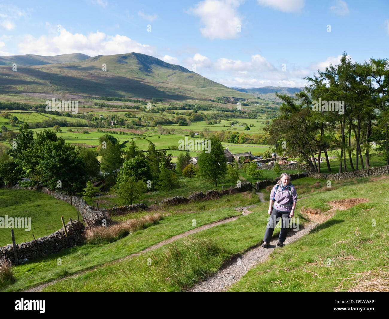 A female walker follows the path around Blencathra's Scales Fell, with a view across to Clough Head in the English Lake District Stock Photo