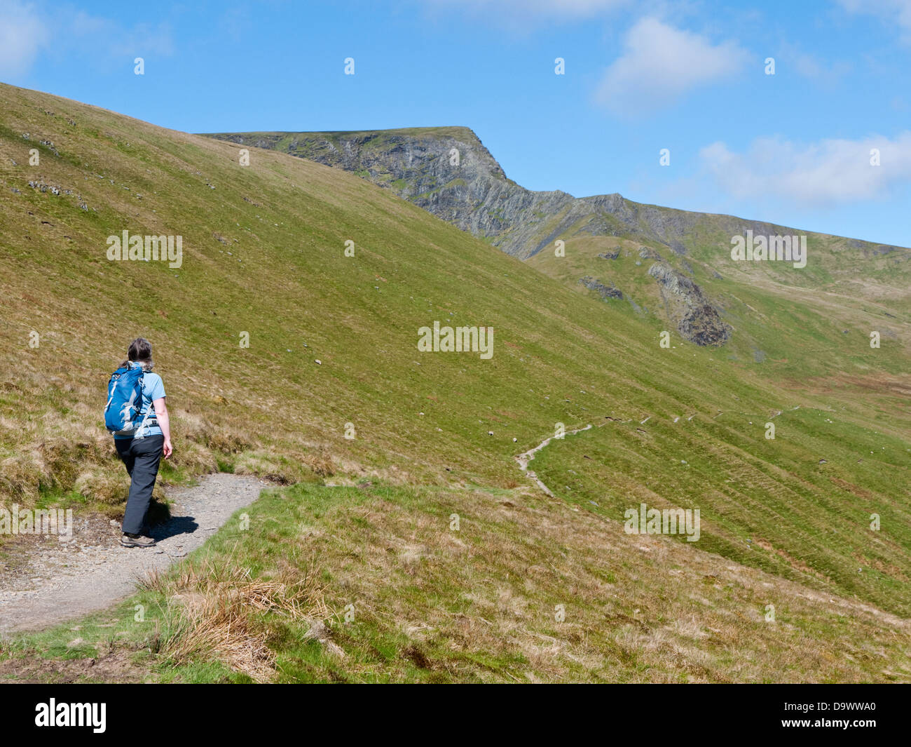 A female walker heading across Scales Fell on Blencathra. The rocky Sharp Edge and Foule Crag rise at the head of the valley Stock Photo