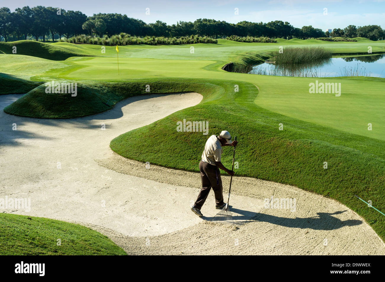 Greenkeeper at Grand Cypress Golf Club, Orlando, Florida, USA, raking