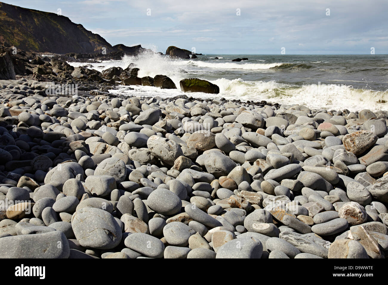 Prescombe Rocks Rock shapes and pebbles at Welcombe Mouth. North Devon Stock Photo - Alamy