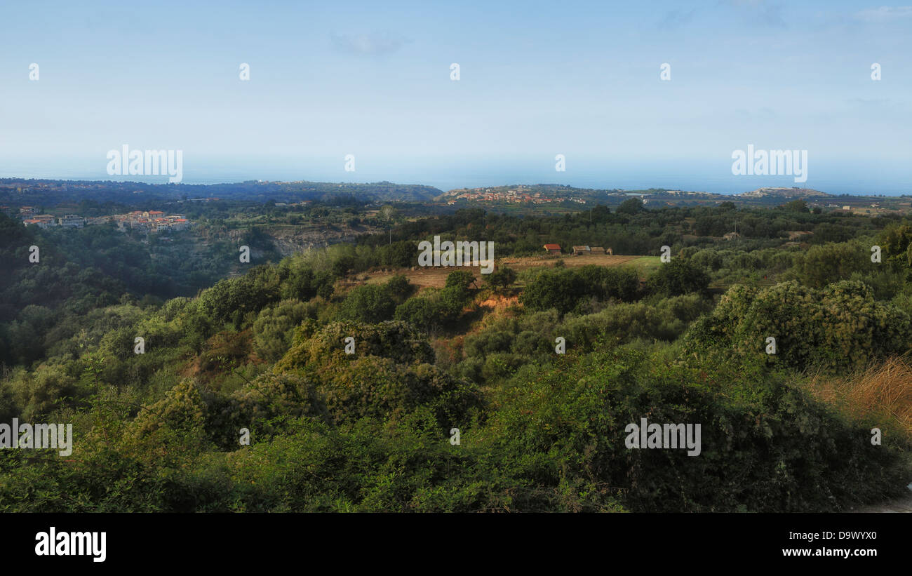 Olive grove calabria italy hi-res stock photography and images - Alamy