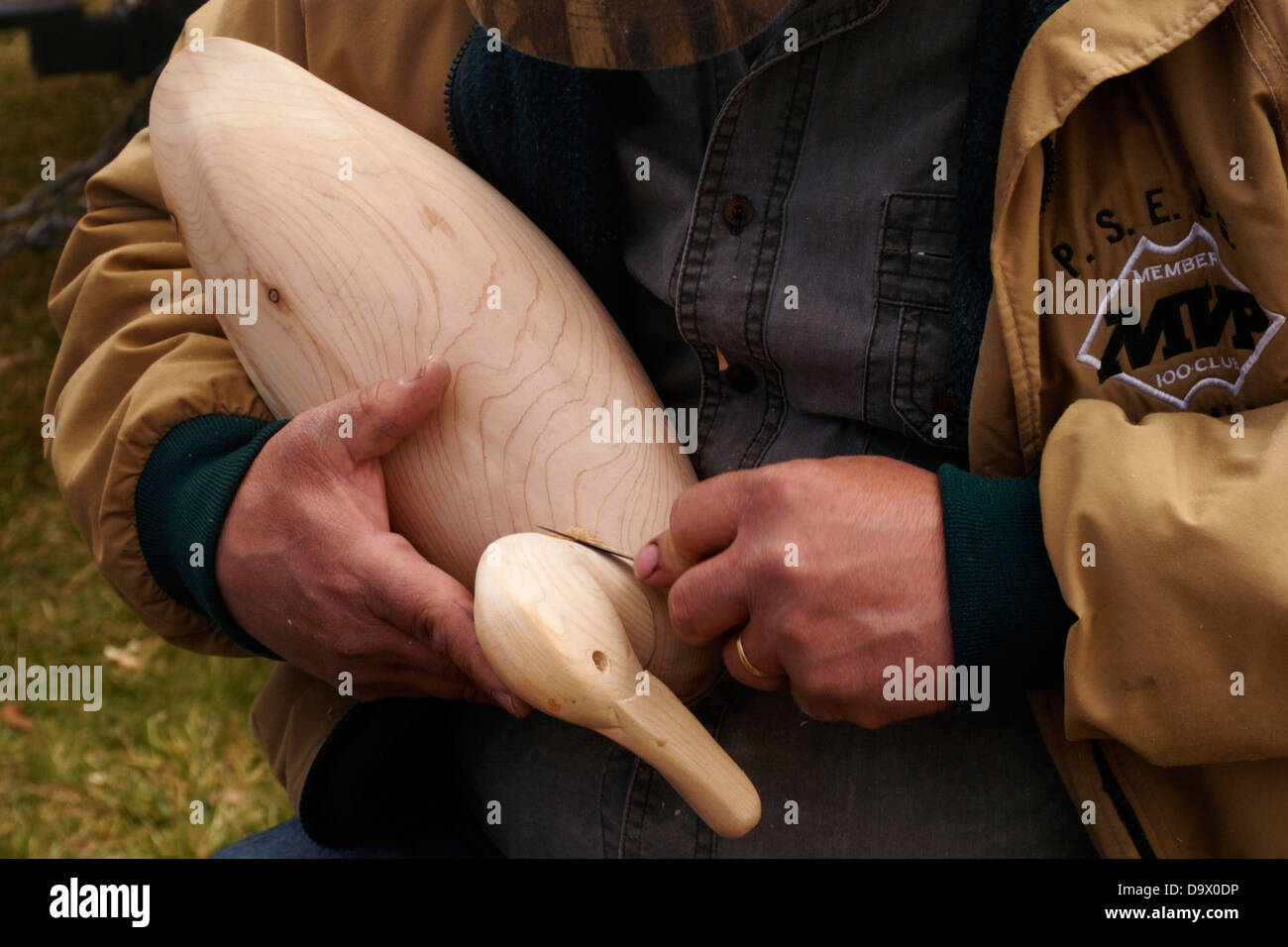 A wood carver begins work on a duck decoy Stock Photo