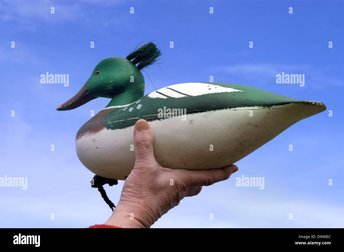 A carver holds up his recently completed decoy duck Stock Photo