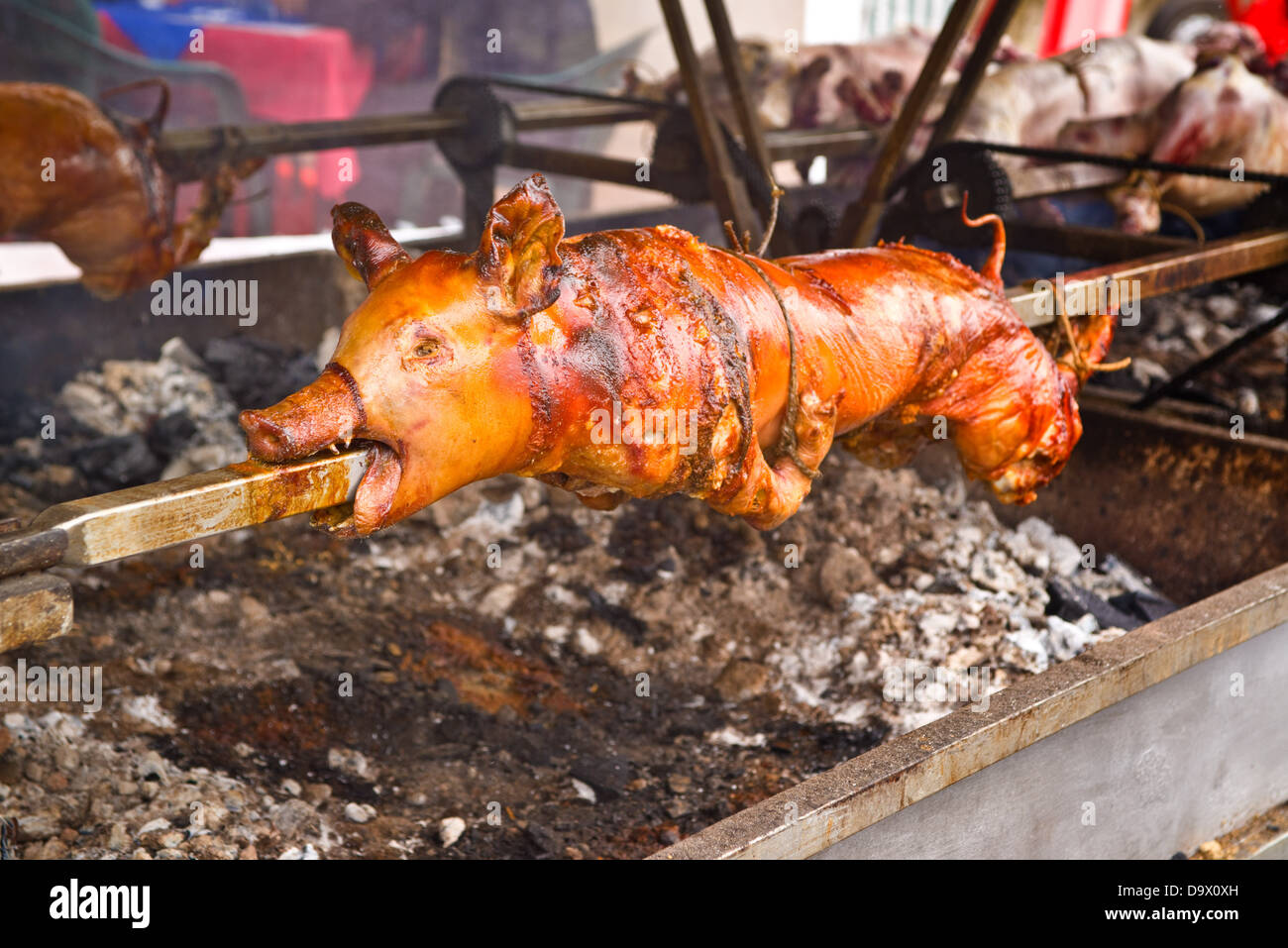 Whole roasted pig on a steel spit Stock Photo