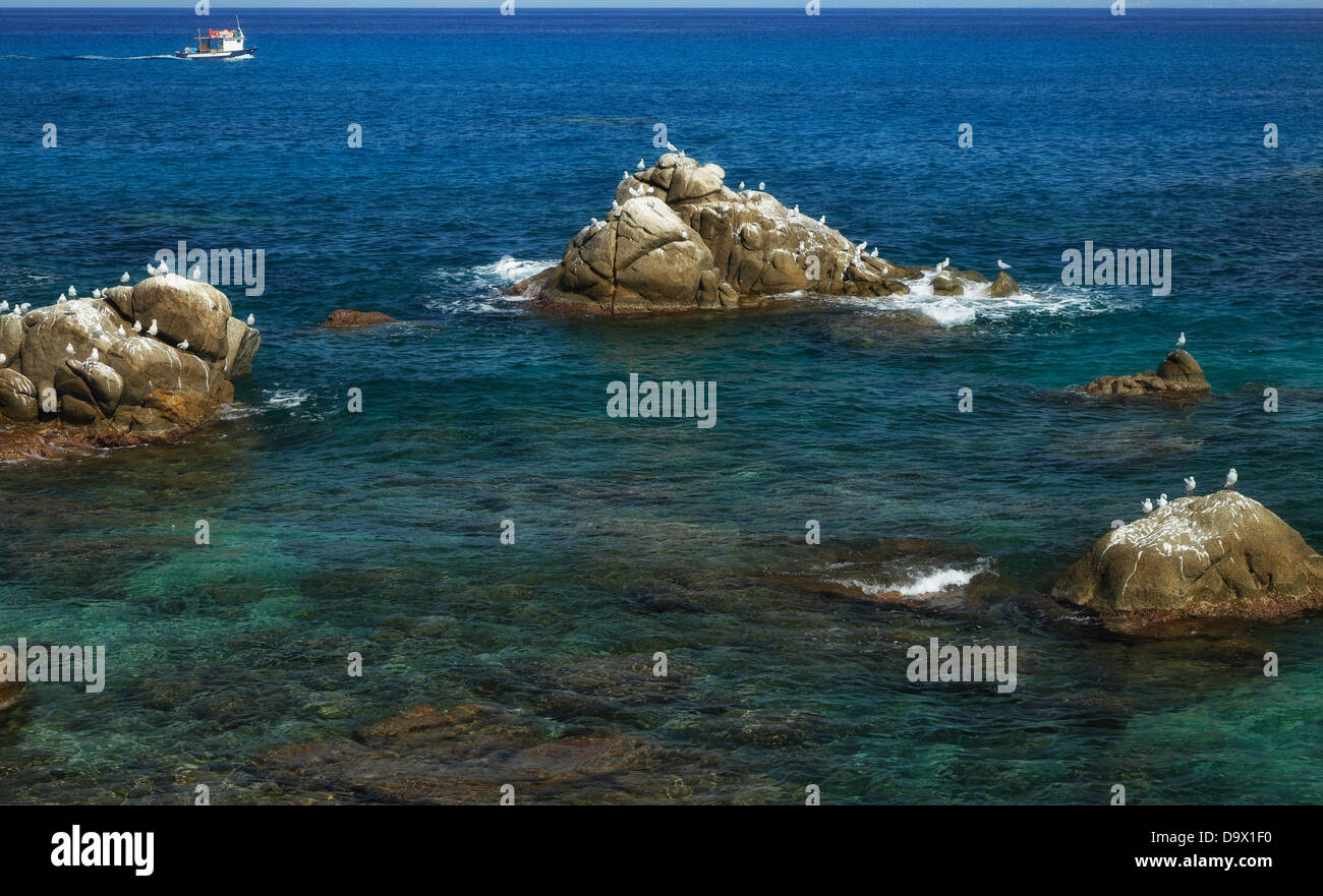 Bratico Briatico Marina and seagull,Calabria,Italy Stock Photo - Alamy