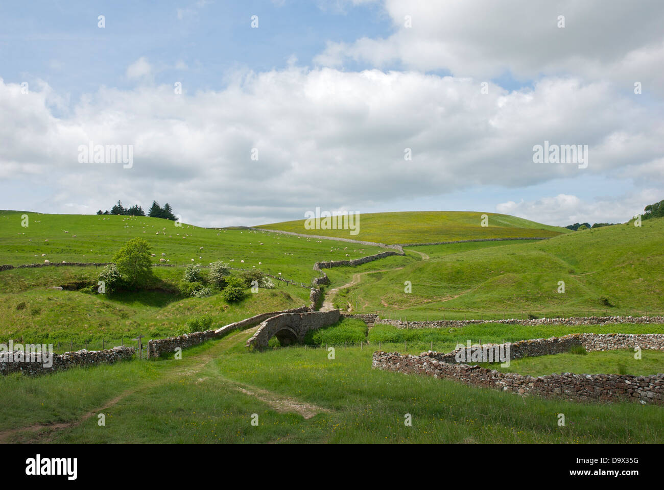 Smardale packhorse bridge over Scandal Beck, Smardale Gill nature