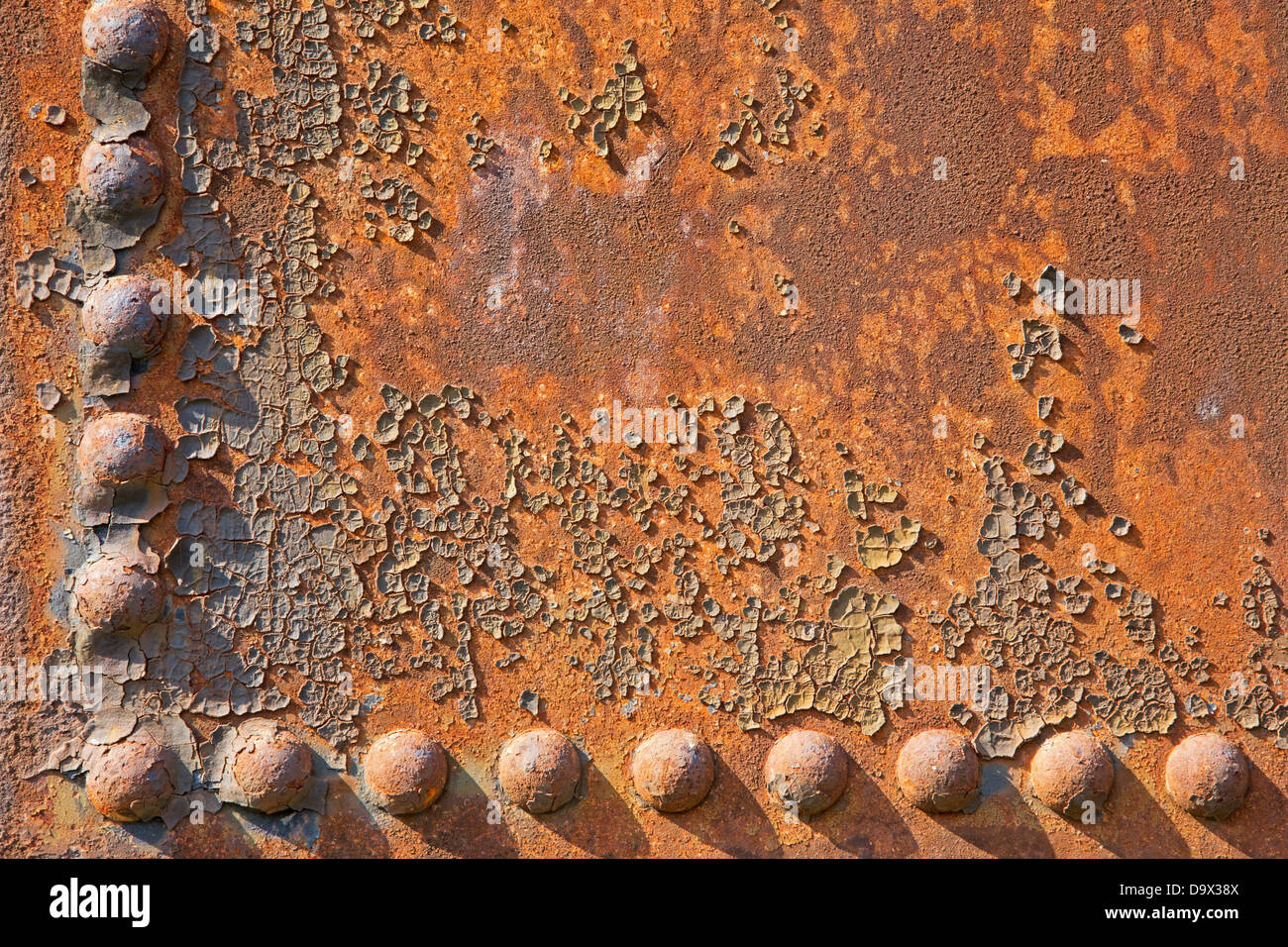 Poster Metal background with rivets 