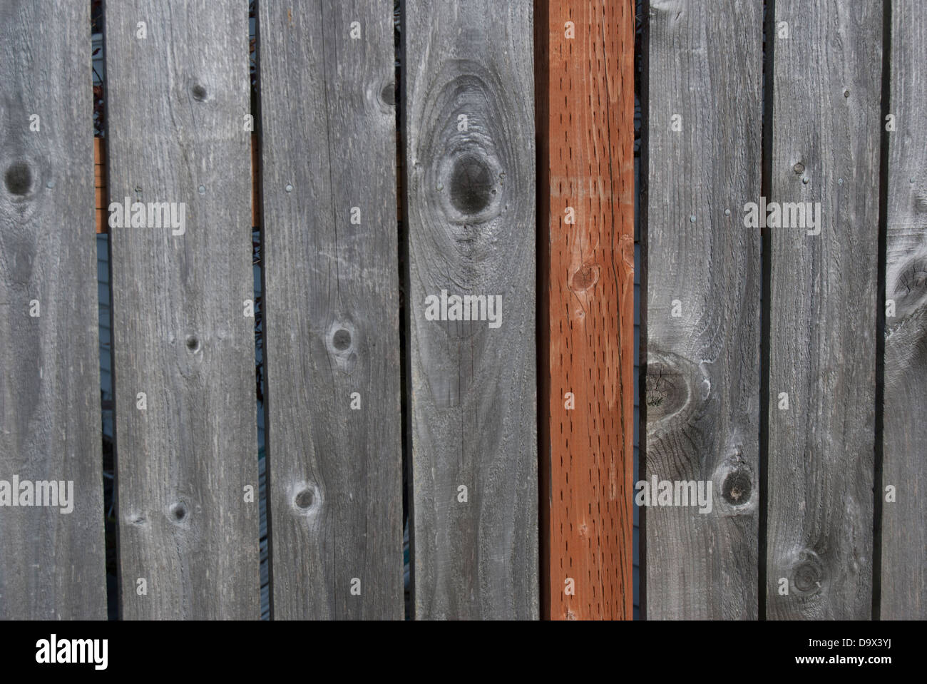 Weathered wooding fence, with a new fence post support Stock Photo - Alamy