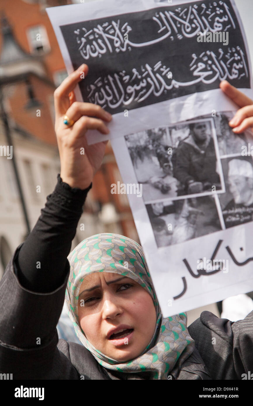 London, UK. 27th June 2013. A woman with her placard as Egyptians in London protest against sectarian killings in Egypt. Credit:  Paul Davey/Alamy Live News Stock Photo