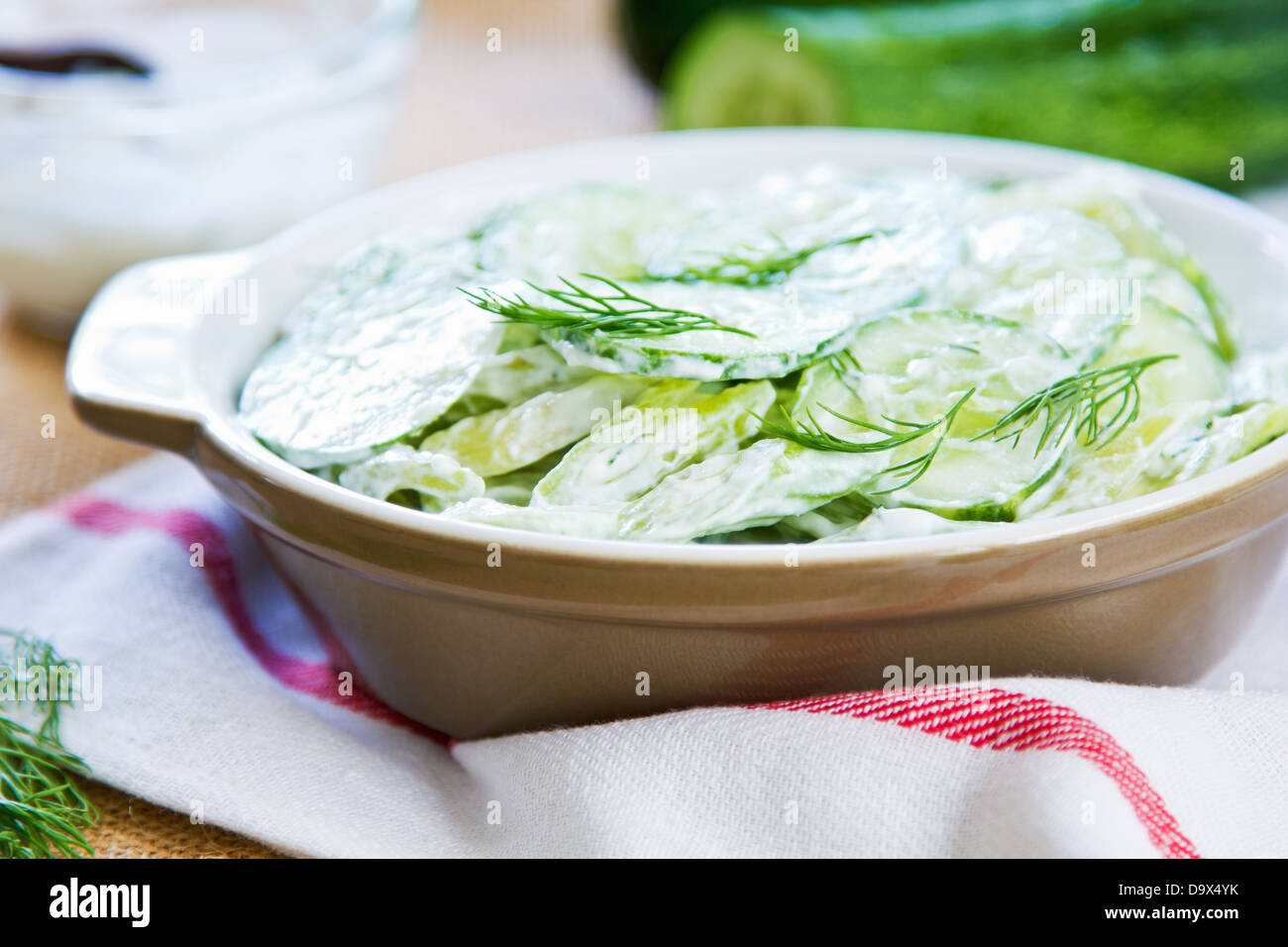 Cucumber with Celery and Dill salad in yogurt dressing Stock Photo