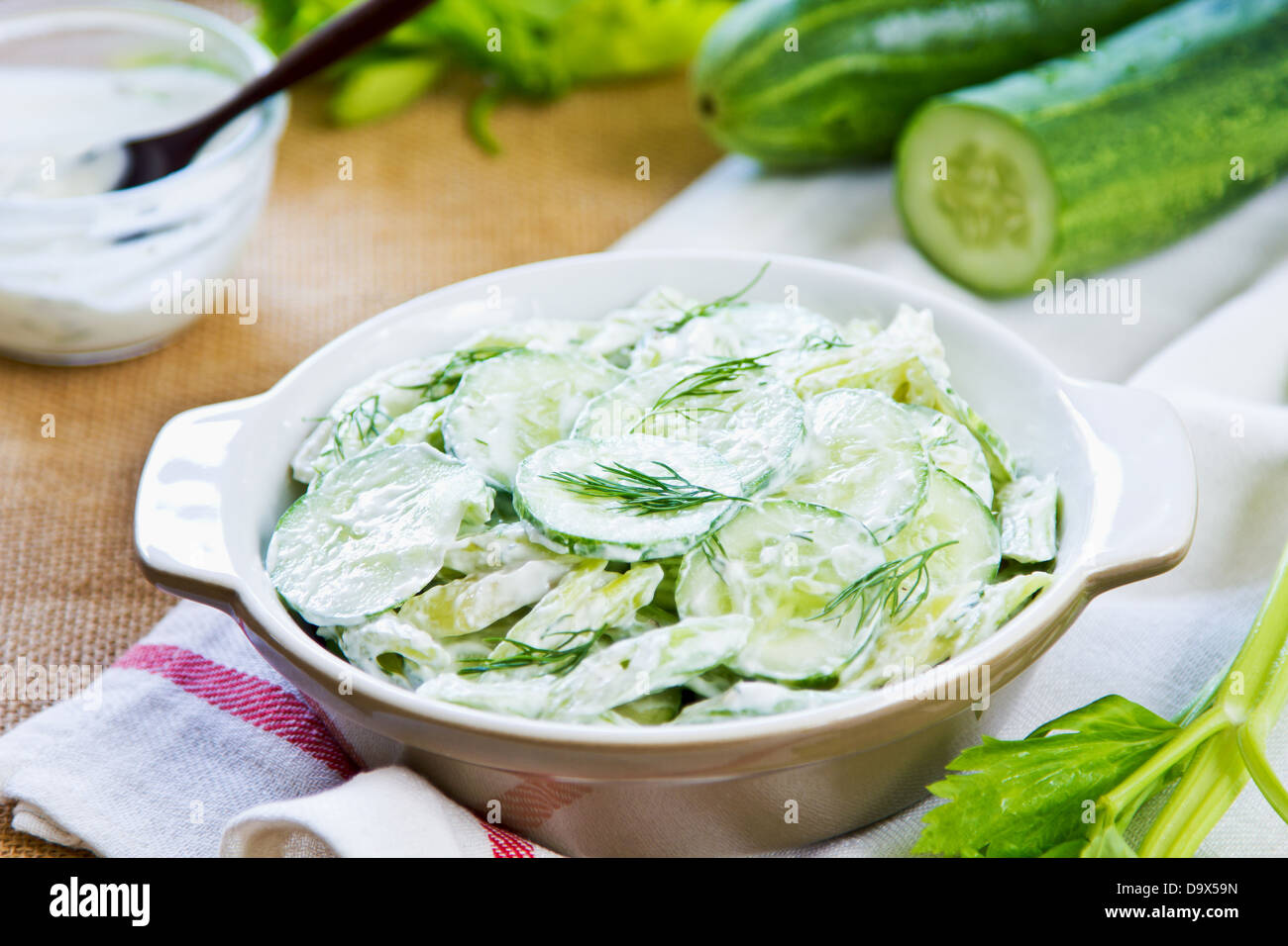 Cucumber with Celery and Dill salad in yogurt dressing Stock Photo