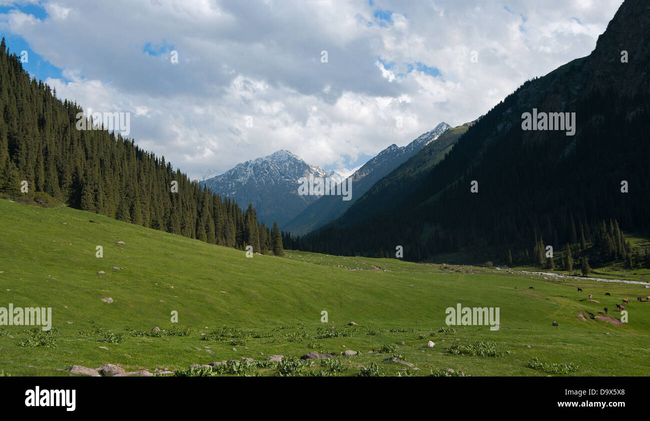Mountain Valley Aksay, Kyrgyzstan Stock Photo - Alamy