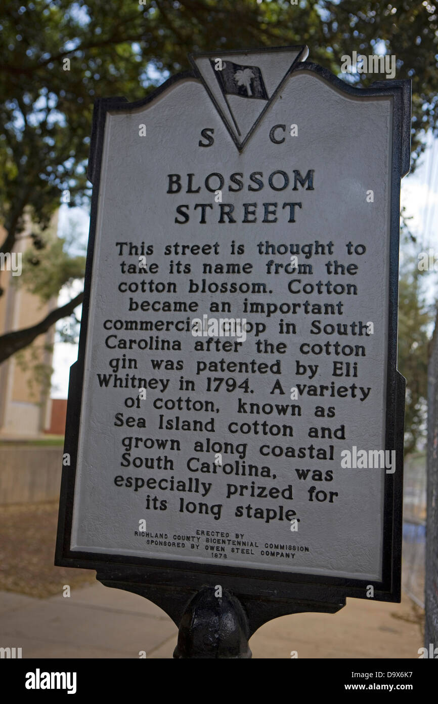 BLOSSOM STREET This street is thought to take its name from the cotton blossom. Cotton became an important commercial crop in South Carolina after the cotton gin was patented by Eli Whitney in 1794. A variety of cotton, known as Sea Island cotton and grown along coastal South Carolina, was especially prized for its long staple. Erected by Richland County Bicentennial Commission Sponsored By Owen Steel Company, 1978 Stock Photo