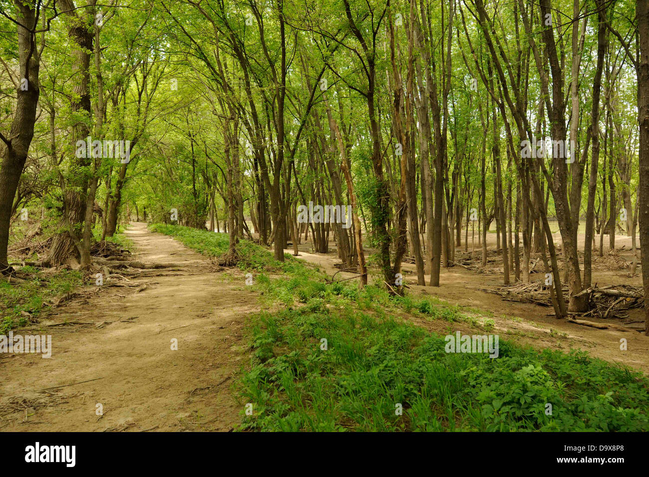 Wabash Heritage Trail along the Wabash River in Lafayette, Indiana