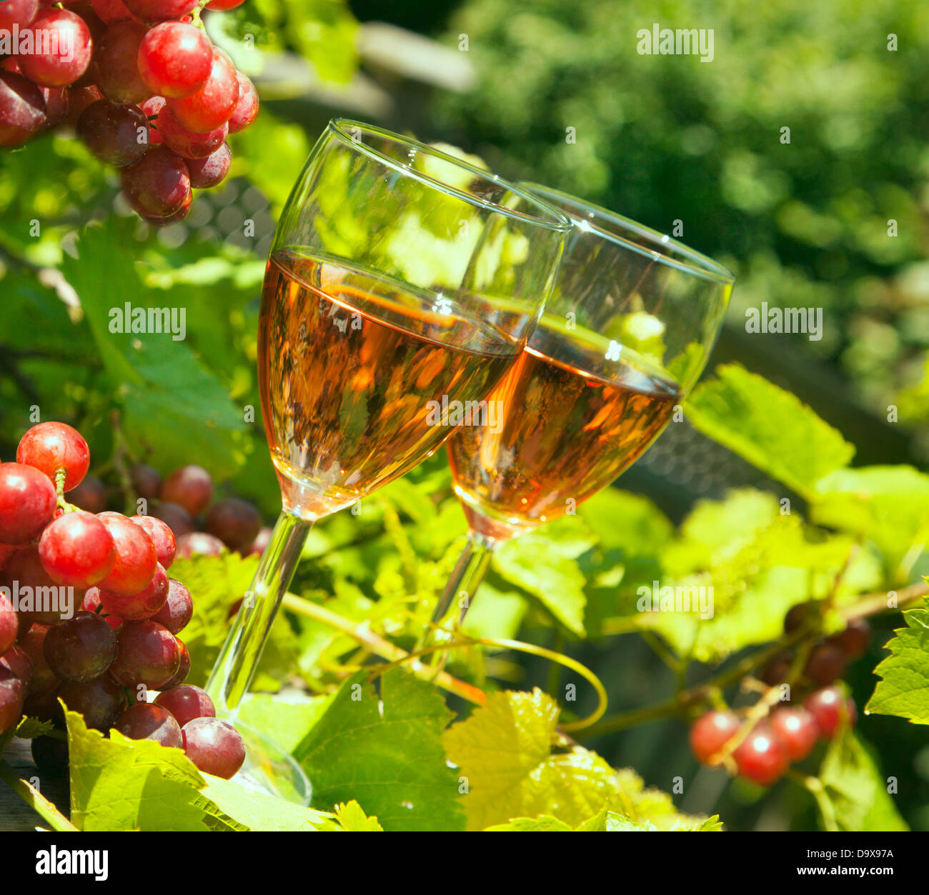 Glass of pink wine and grapes Stock Photo Alamy