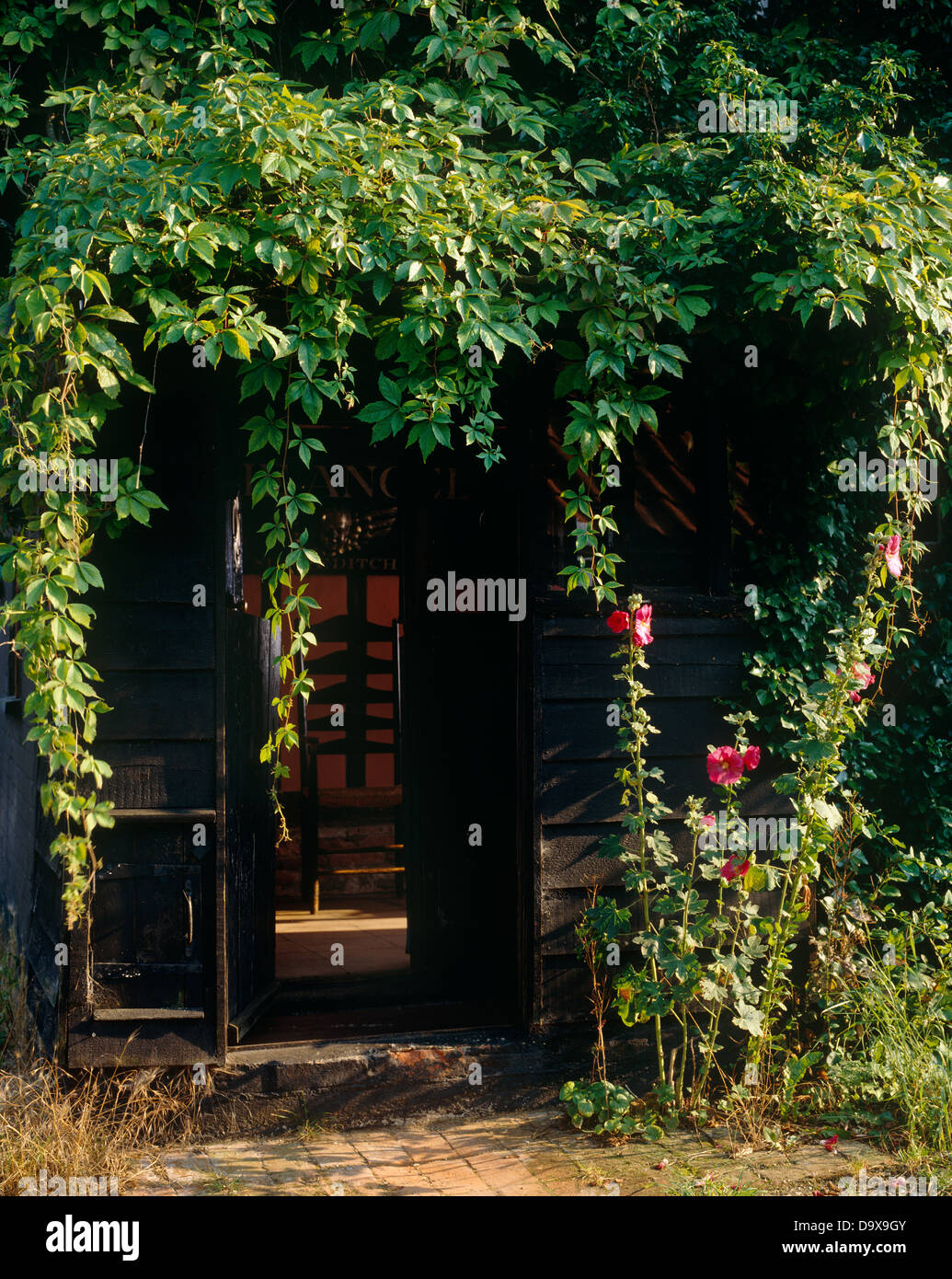 House covered in virginia creeper hires stock photography and images