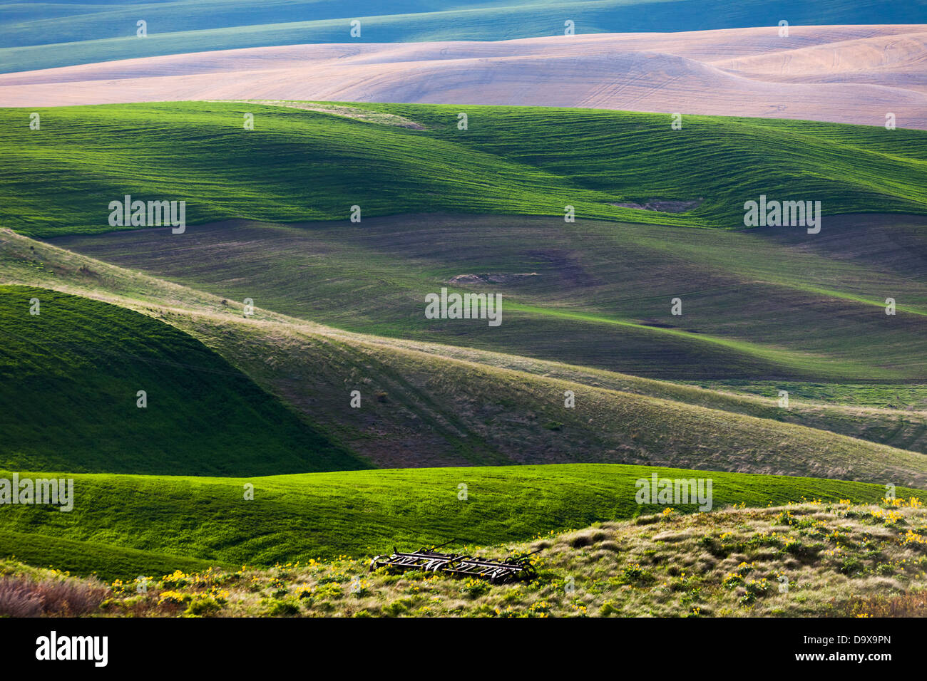 rolling hill and Farm Land, green wheat fields Stock Photo - Alamy