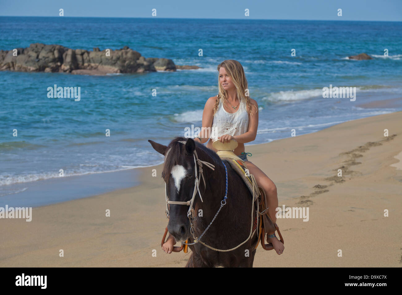 Young woman riding horse on beach Stock Photo - Alamy