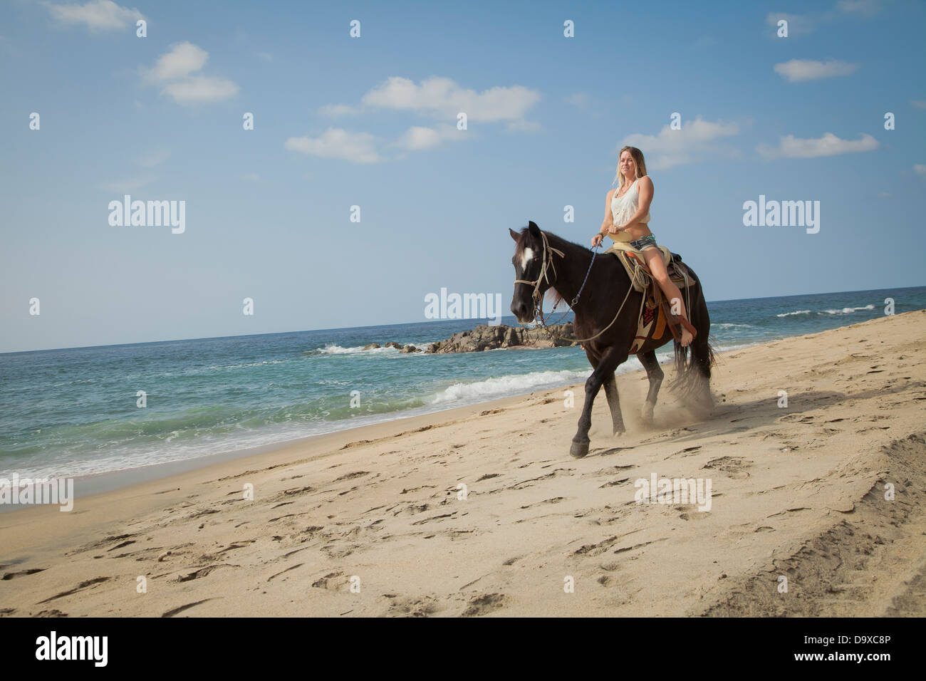 Young woman riding horse on beach Stock Photo - Alamy