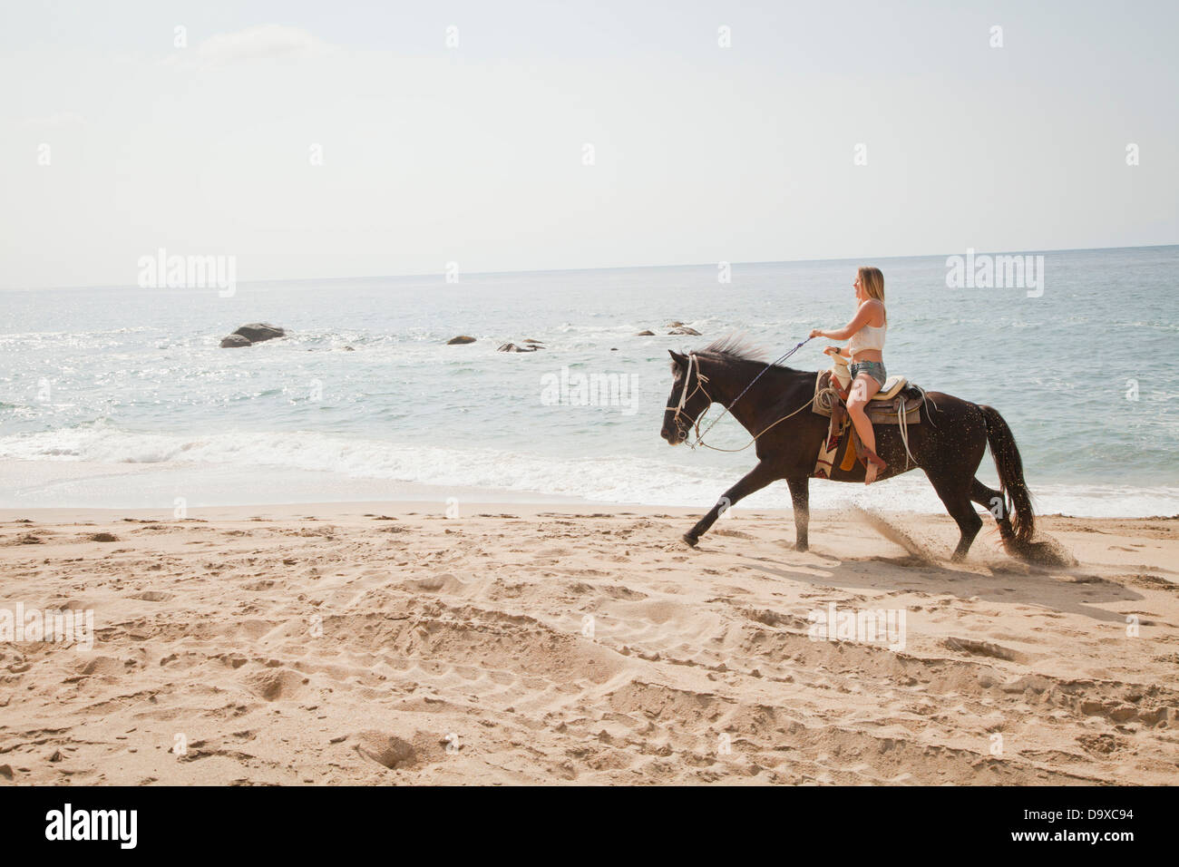 Young woman riding horse on beach Stock Photo - Alamy