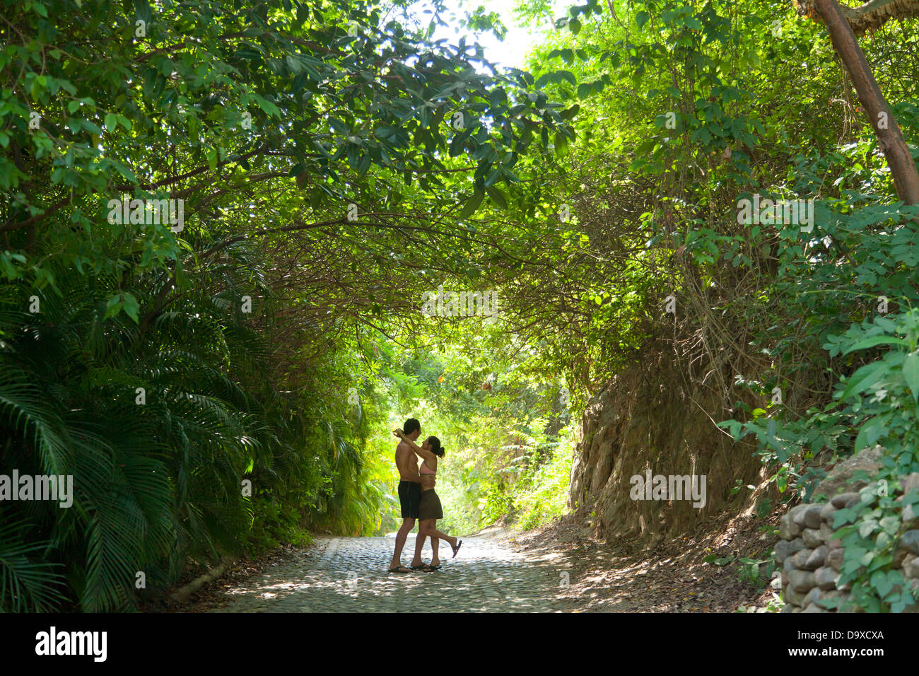 Couple walking down tree arched path Stock Photo