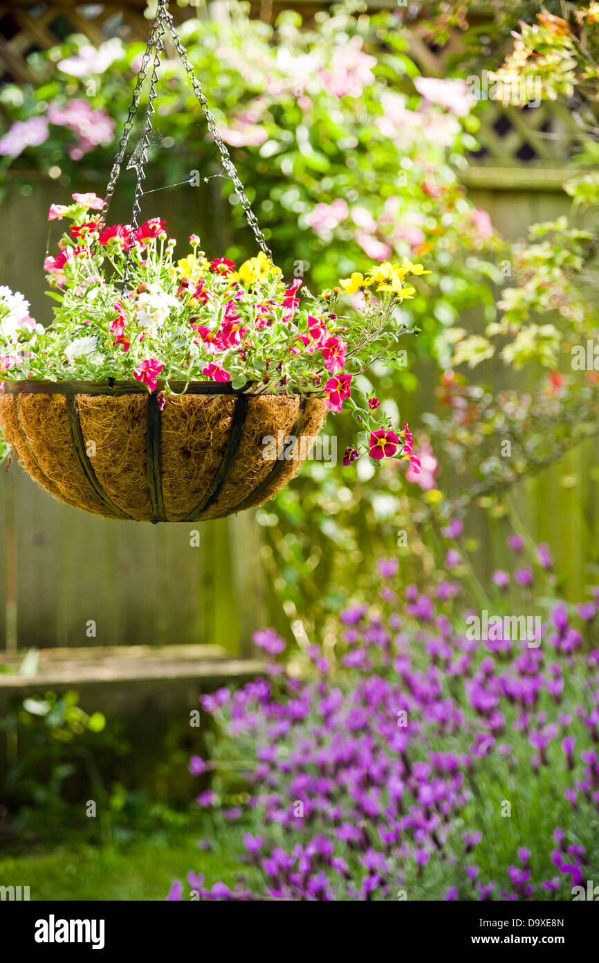 Hanging flower basket in garden Stock Photo