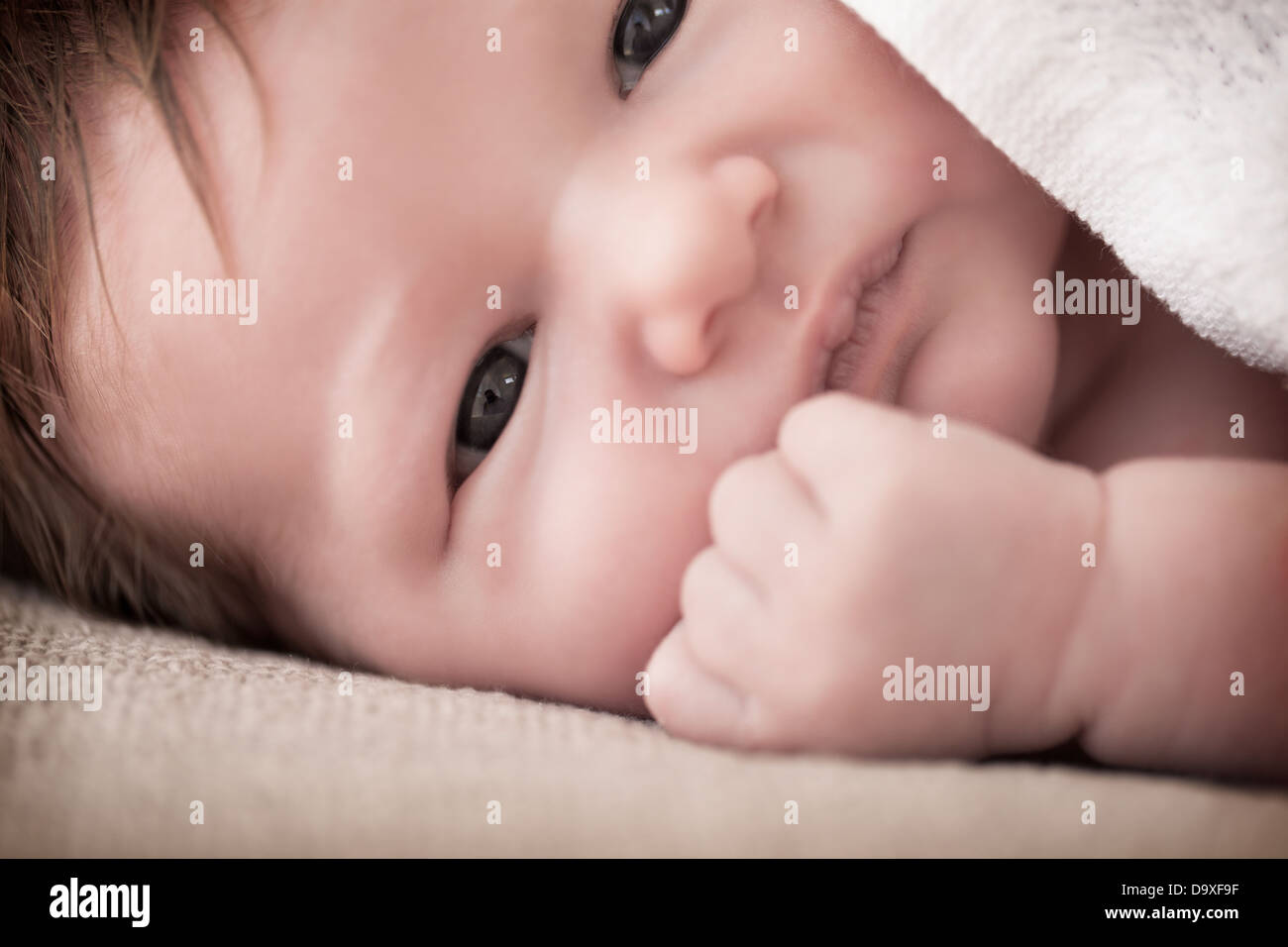 Newborn Stock Photo