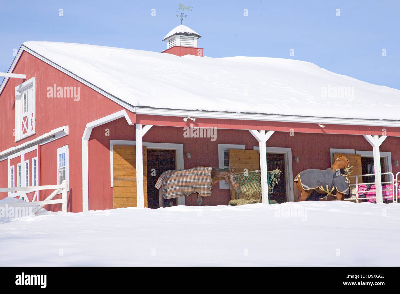 Horses in blankets hires stock photography and images Alamy