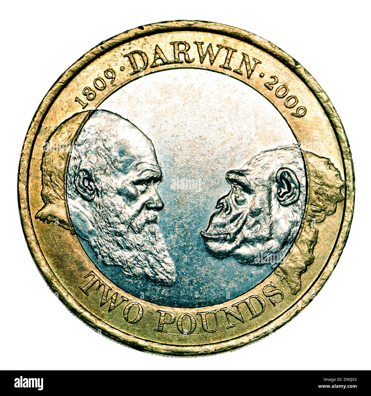 British £2 coin - 2009 - 200th Anniversary of Charles Darwin's birth. Designed by Suzie Zamit Stock Photo
