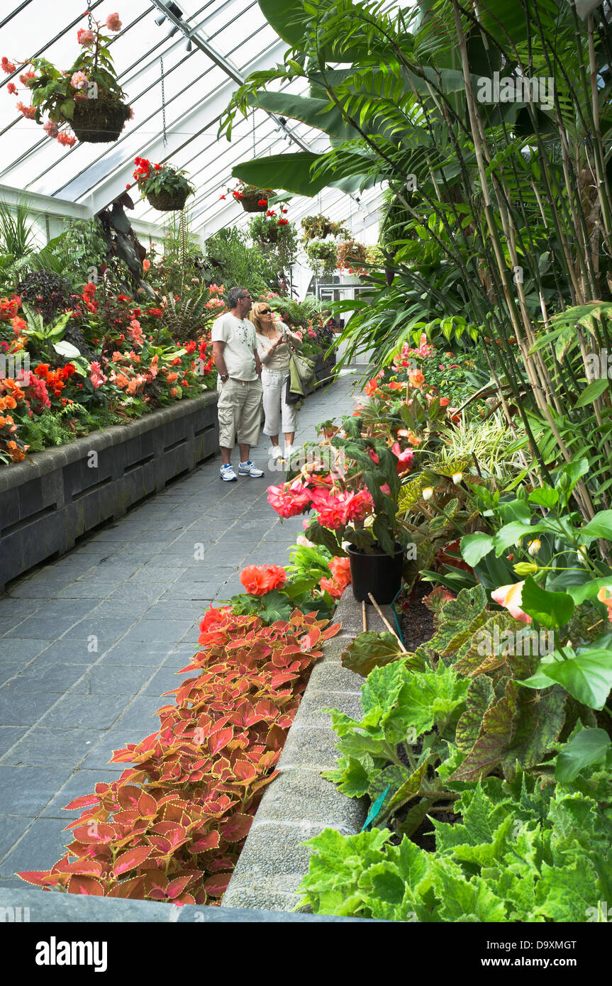 dh Botanic Gardens WELLINGTON NEW ZEALAND Couple looking at plants in Begonia House botanical hot house garden people Stock Photo