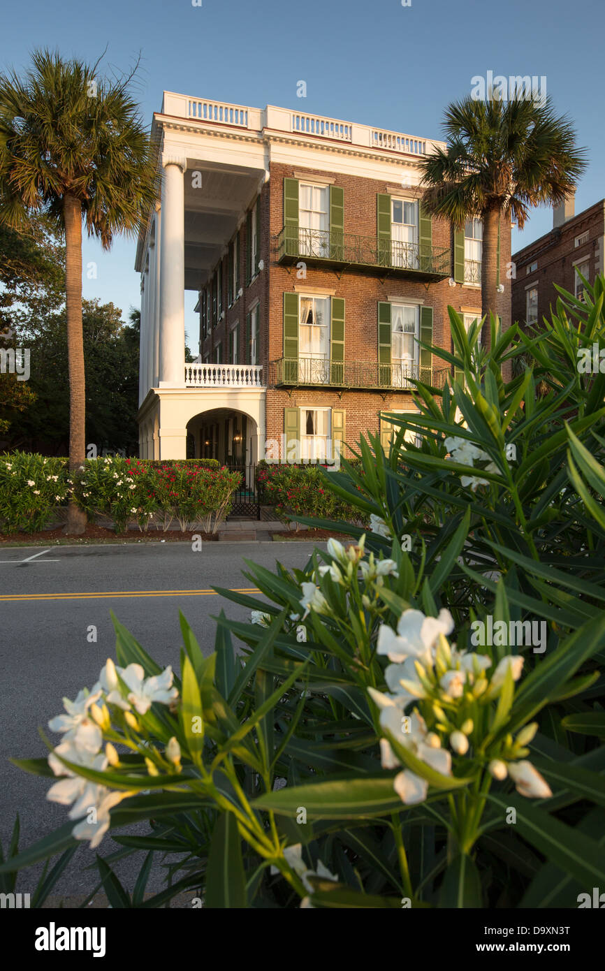 Stately antebellum historic homes along the High Battery in Charleston