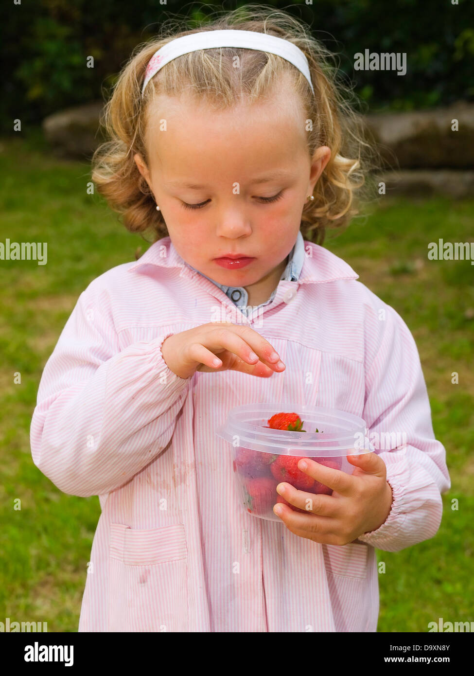 Little girl picking strawberries outdoors Stock Photo - Alamy