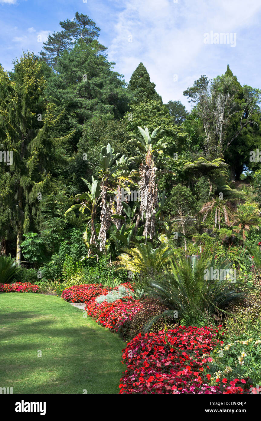 dh Pukekura Park NEW PLYMOUTH NEW ZEALAND Botanic gardens flowers and