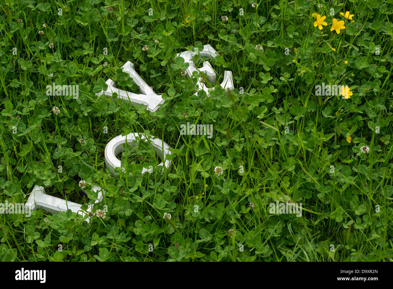 LOVE. Block wooden letters in clover Stock Photo