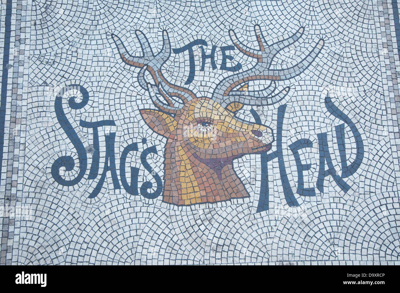 Stag's Head pub sign Dublin Ireland Europe Stock Photo