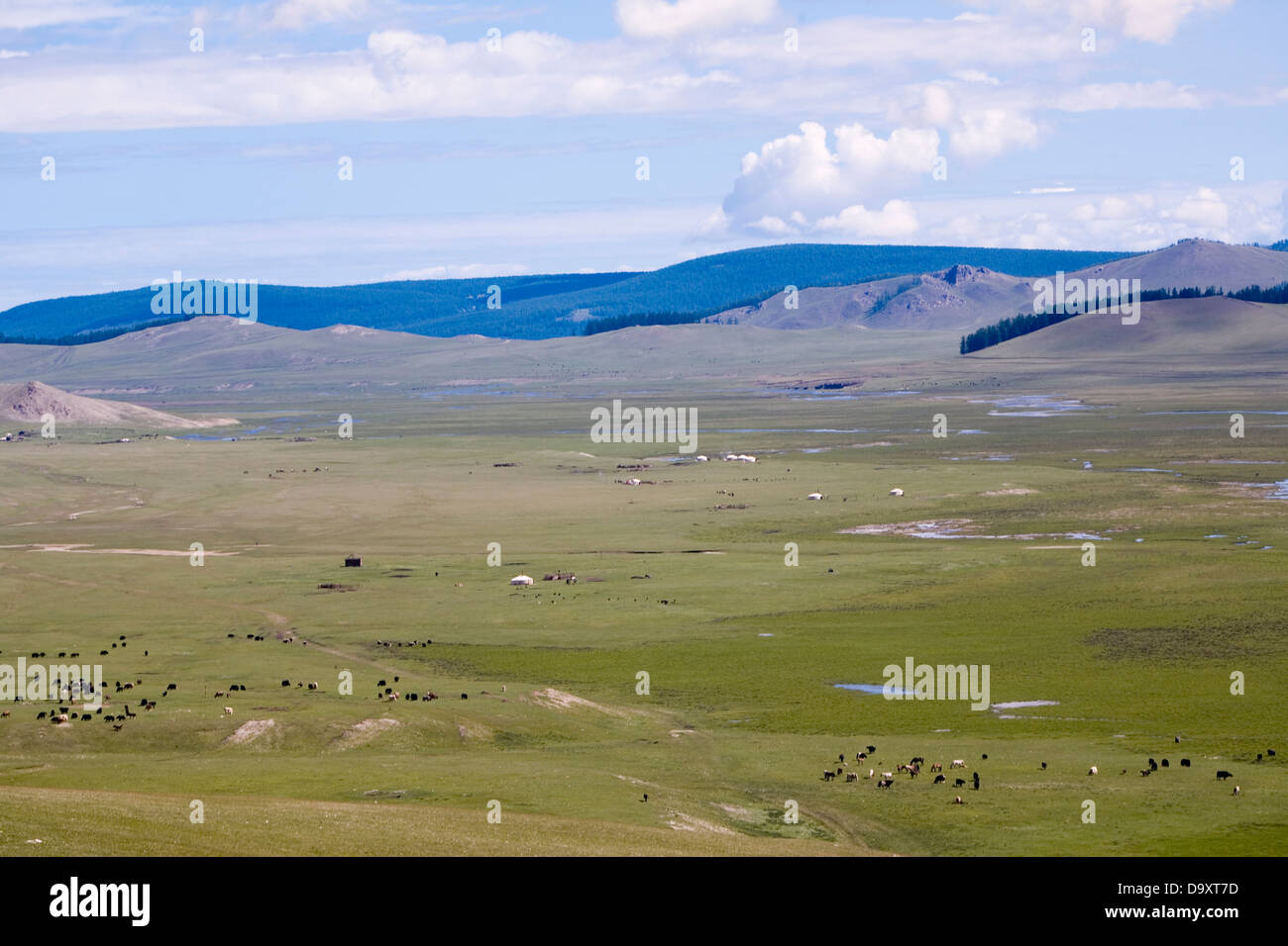 Khovsgol Aimag High Resolution Stock Photography and Images - Alamy