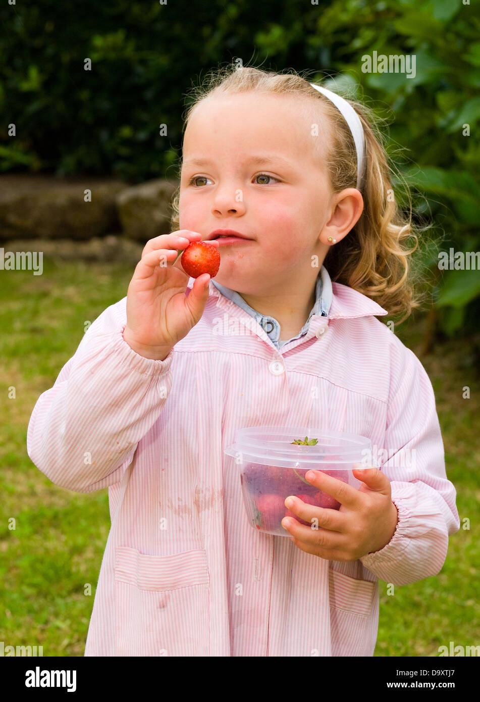 Little girl picking strawberries outdoors Stock Photo - Alamy