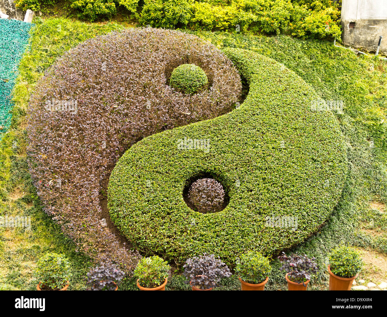 dh Wong Tai Sin Temple WONG TAI SIN HONG KONG Yin Yang symbols in temple gardens made from bush plants feng shui yan garden balance circle Stock Photo