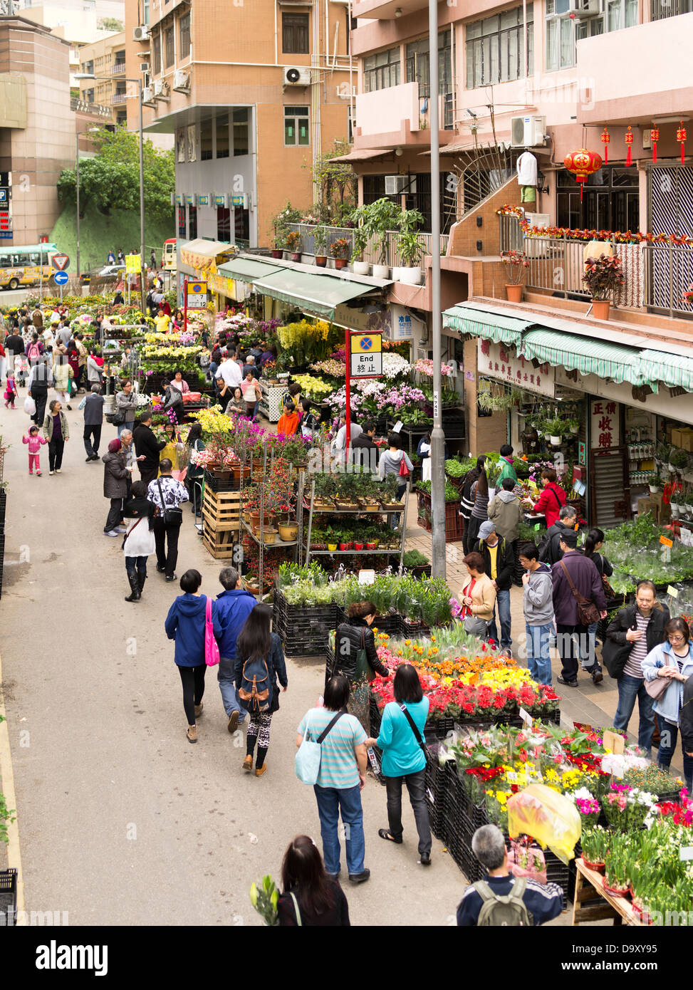 hong kong flower market chinese new year