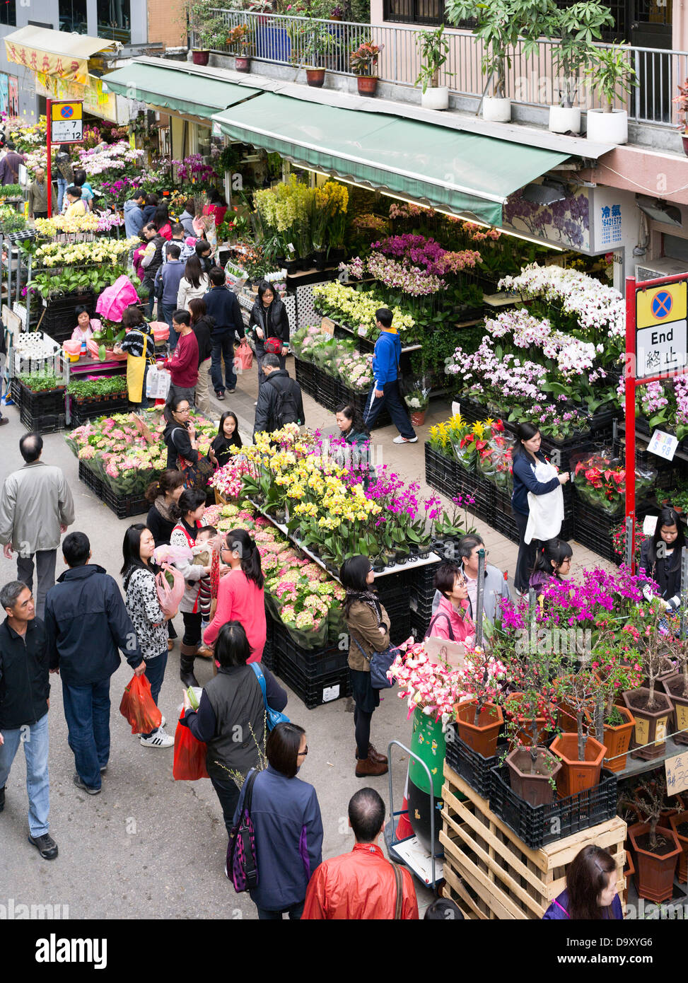 chinese new year flower market in hong kong