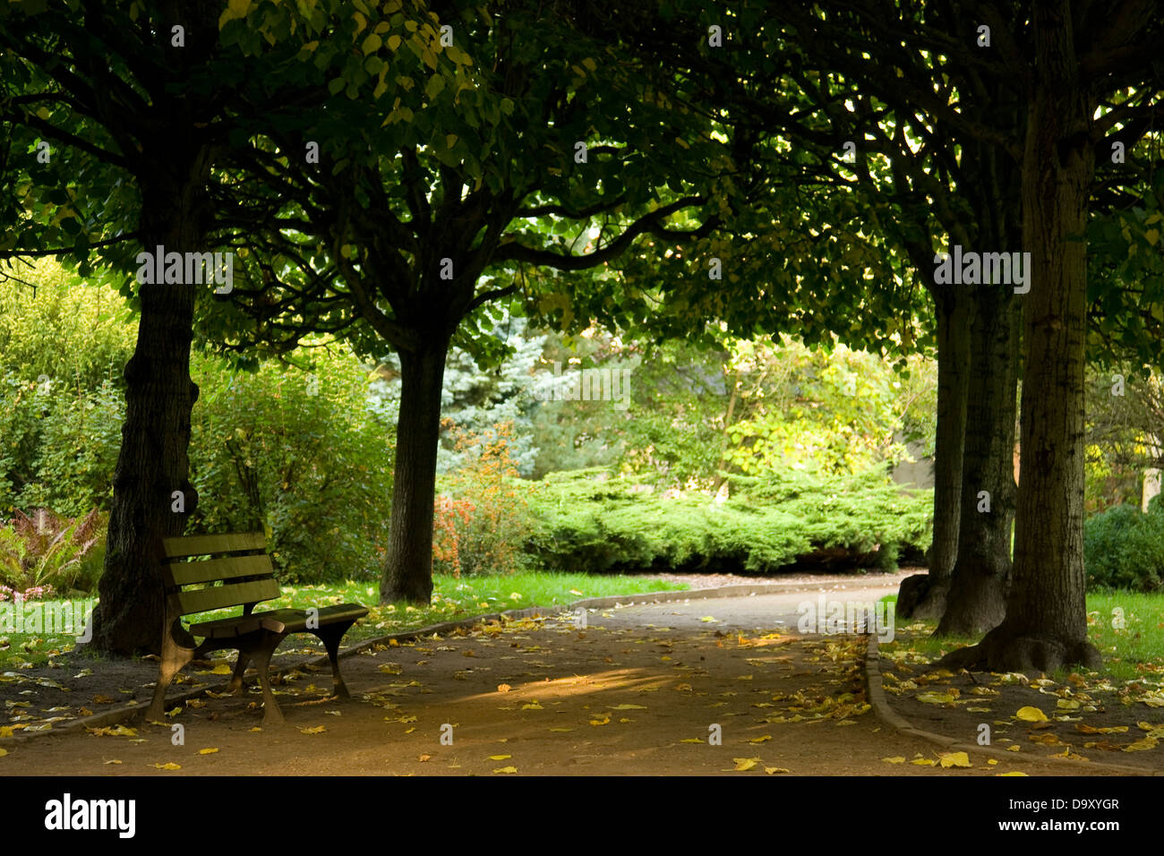Empty bench in the park Stock Photo - Alamy