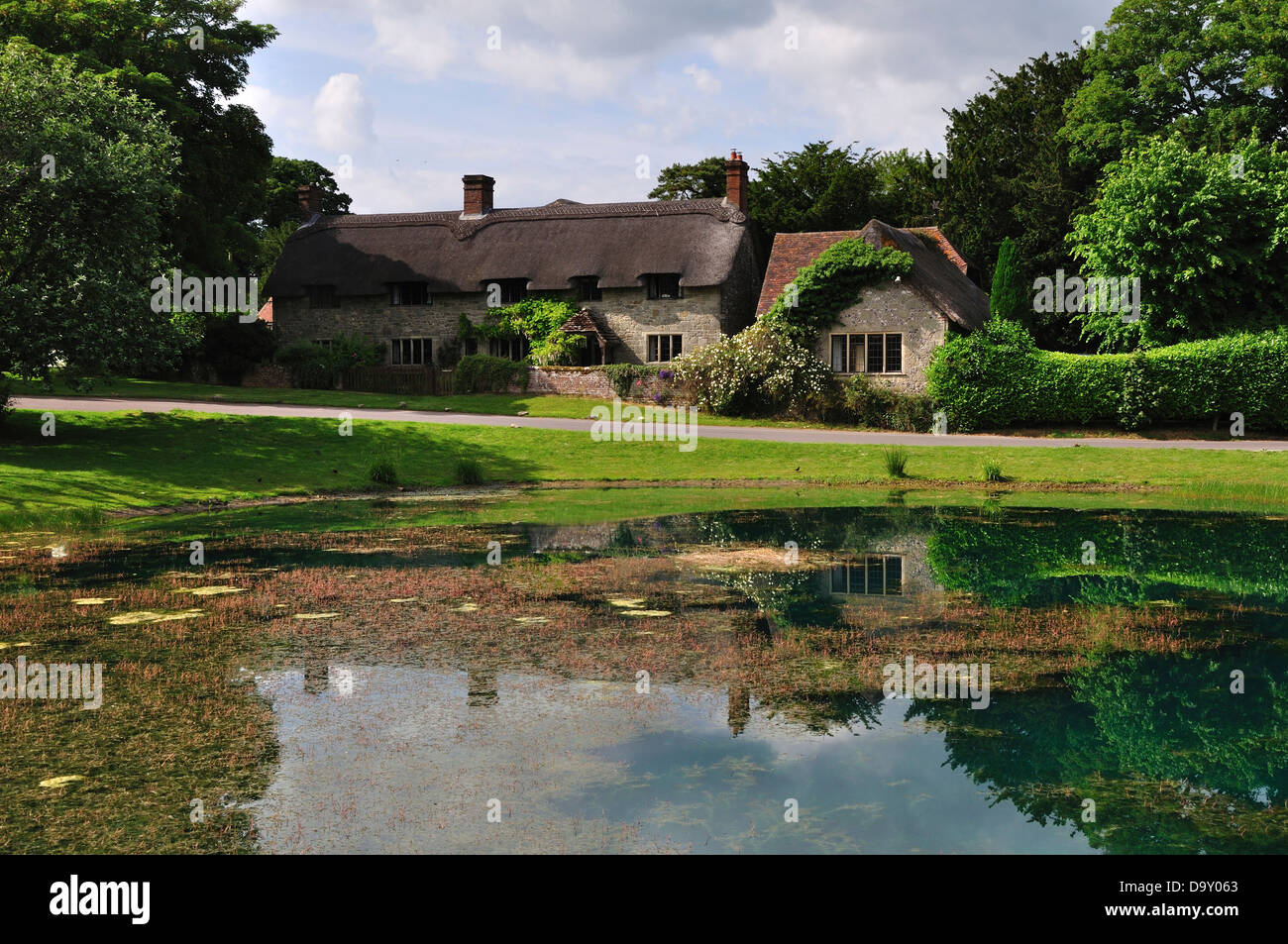Ashmore pond hires stock photography and images Alamy