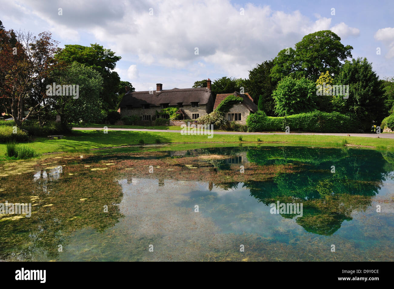 A view of the highest village in Dorset, Ashmore UK Stock Photo Alamy